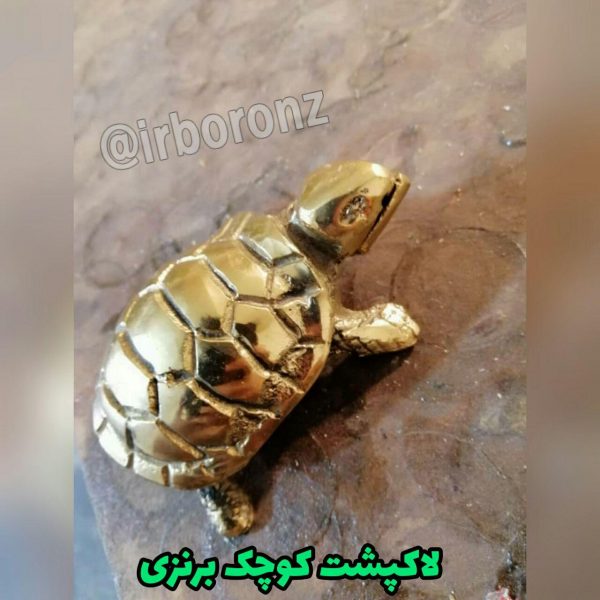 لاکپشت کوچک برنزی - Image 4