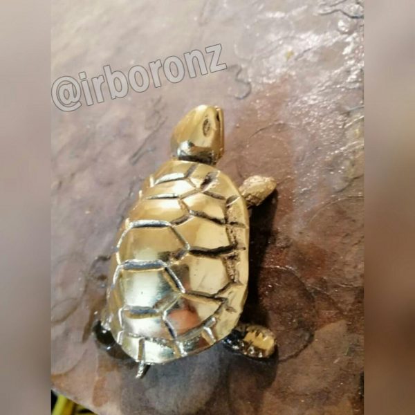 لاکپشت کوچک برنزی - Image 3