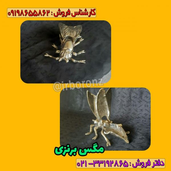مگس زیر سیگاری برنزی
