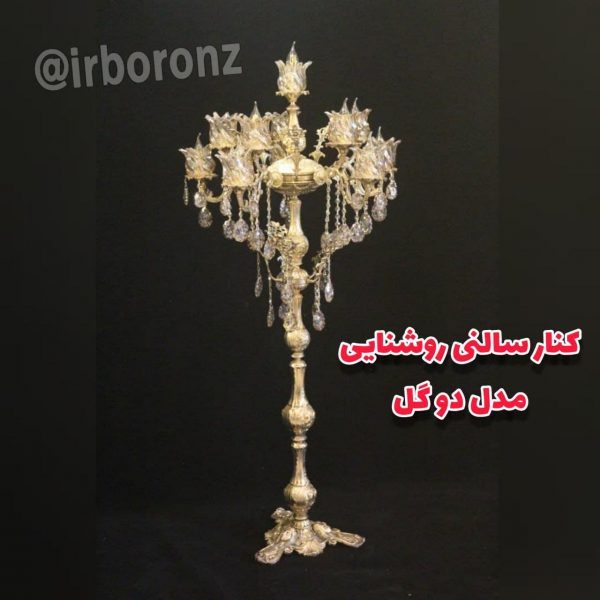 کنار سالنی روشنایی مدل دو گل
